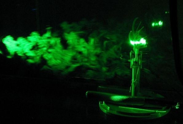 Flapping Micro Aerial Vehicle Testing